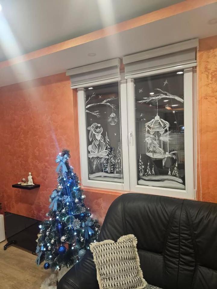 Apartman Zlatar-Vasiljevic Nova Varoš Esterno foto